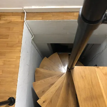 Centrico Abuardillado *